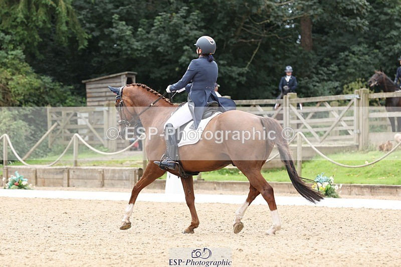 240810-140213-03424 - 110-Helen.Kitto-Da.Vinci.IV