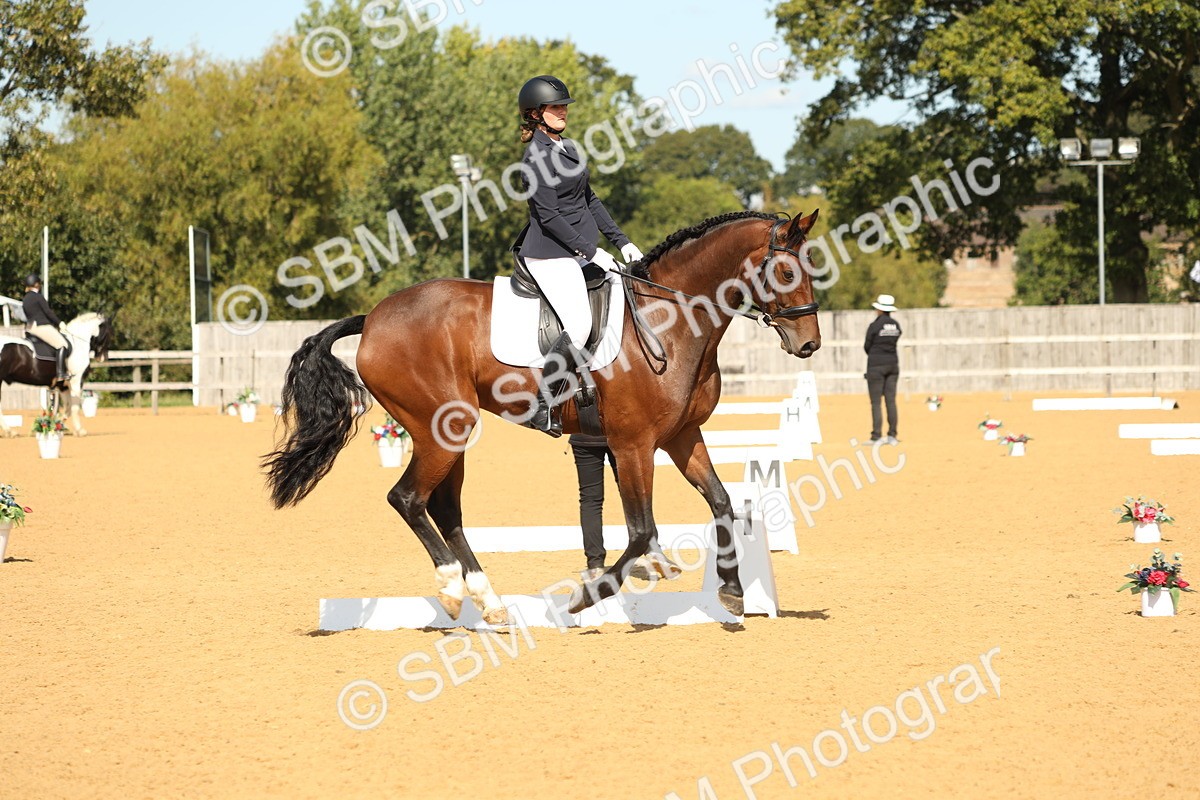 SBM_22273 - D17 - Grand Tour Championship - Novice 27