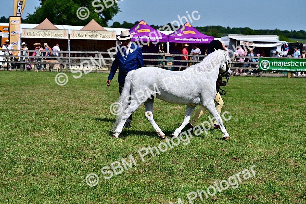 SBM_07815 - Class 61-62 - TSR  M&M Ridden Amateur of the Year