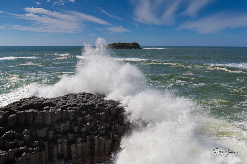 Cook Island big swell _16A0708 - Waves