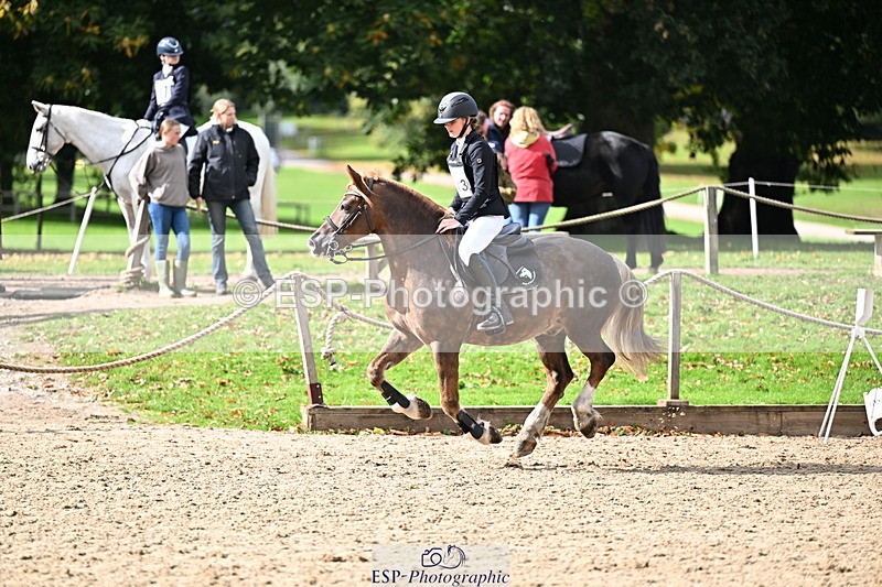 251005A-135933-04244 - Cls 09 Nov 80-85cm