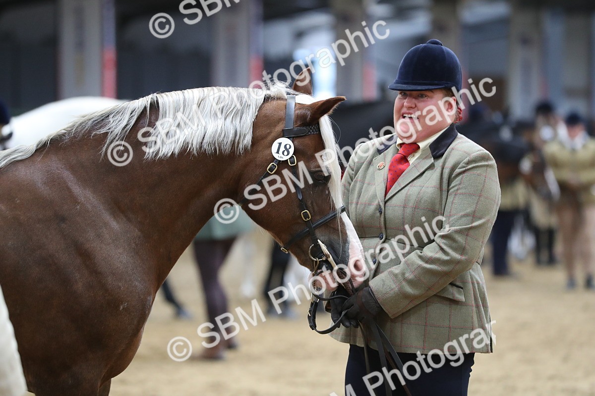 SBM_06429 - Class 9R Regional- IH Pre Vet