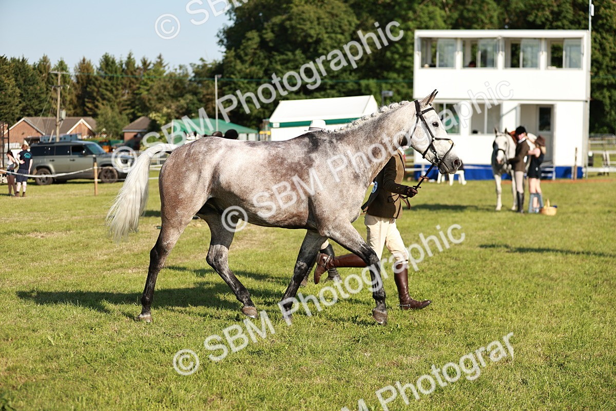 SBM_20040 - Class 115-116 - LIHS BSHA Rising Star Working Hunter & Show Horse