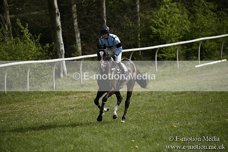 PtP 170417 229 - Old Berks Point-to-Point Lockinge 17/04/17