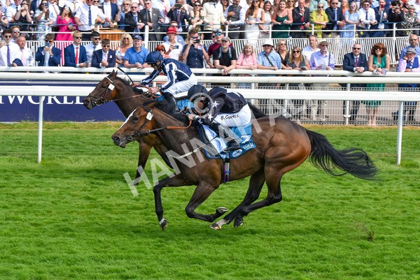 160623-Race 3-Radio Goo Goo-6242 - Race 3 3.00pm British EBF Supporting Racing With Pride Fillies' Handicap