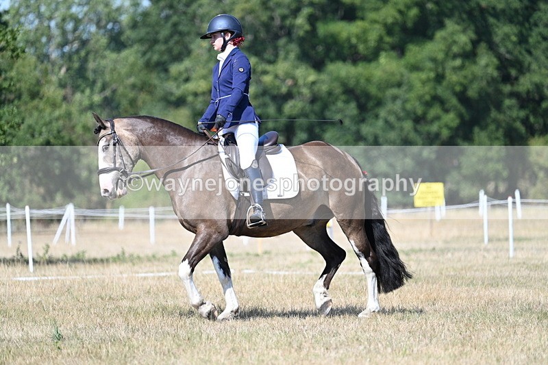 WJ7_0160 - Time 11:03 to 11:28