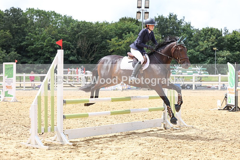 3E7A0005 - Class 9: Senior British Novice/90cm open