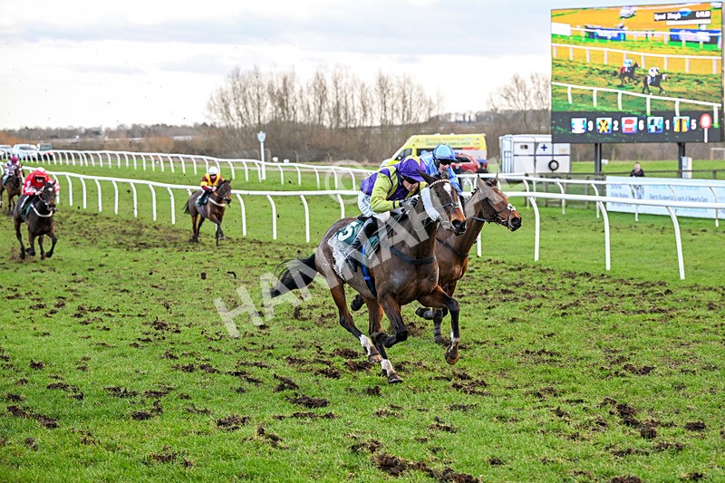 240226-Race 6-Dillarchie-7526 - Race 6