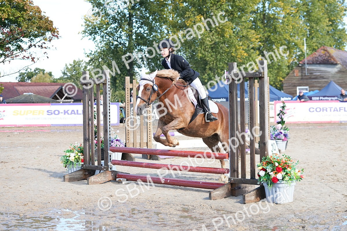 SBM_38254 - J6 - Junior Pony 55cm Championship