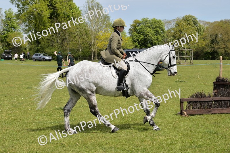 20260426-3688 - Class 22 - Working Hunter