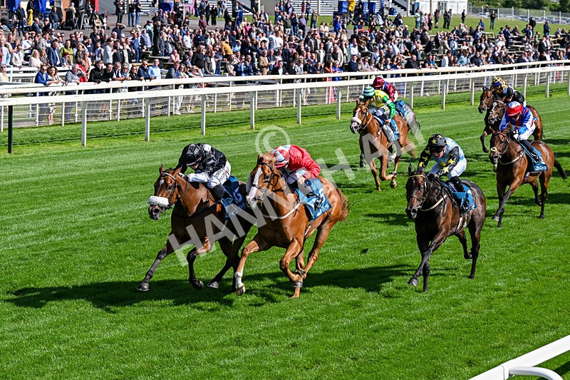 120626-Race 6-Rotokura Belle-0354 - Race 6 16.45pm Dawson Williamson Architects Handicap