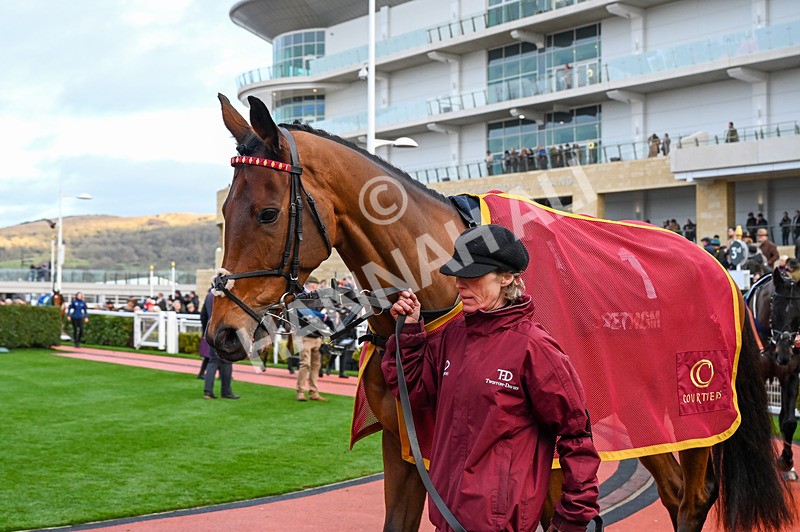 141224-Race 5-Master Chewy-0737 - Race 5