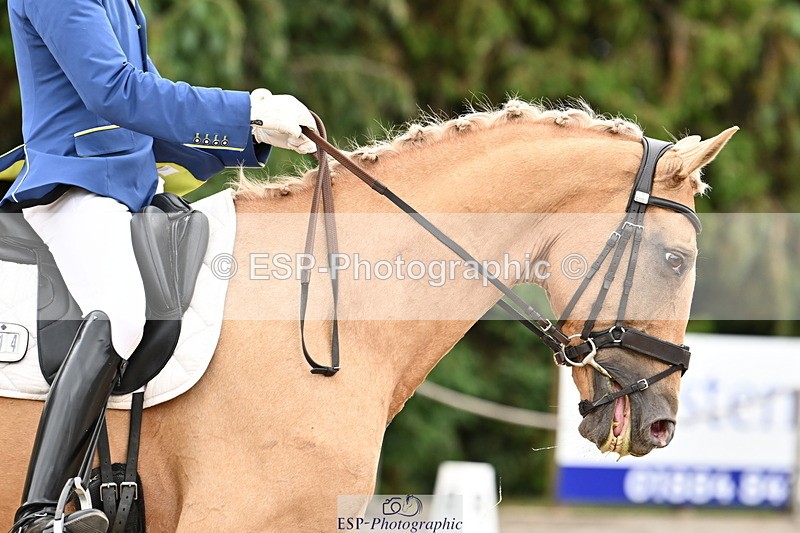 250808A-112704-00491 - 114-Jack.Speakman-JSA.Shakespeare