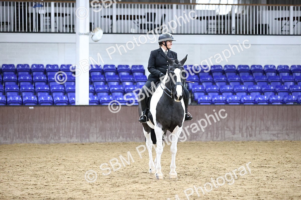 SBM_6373 - Class 45-42 - Ridden Irish Breeds-Ridden Cob