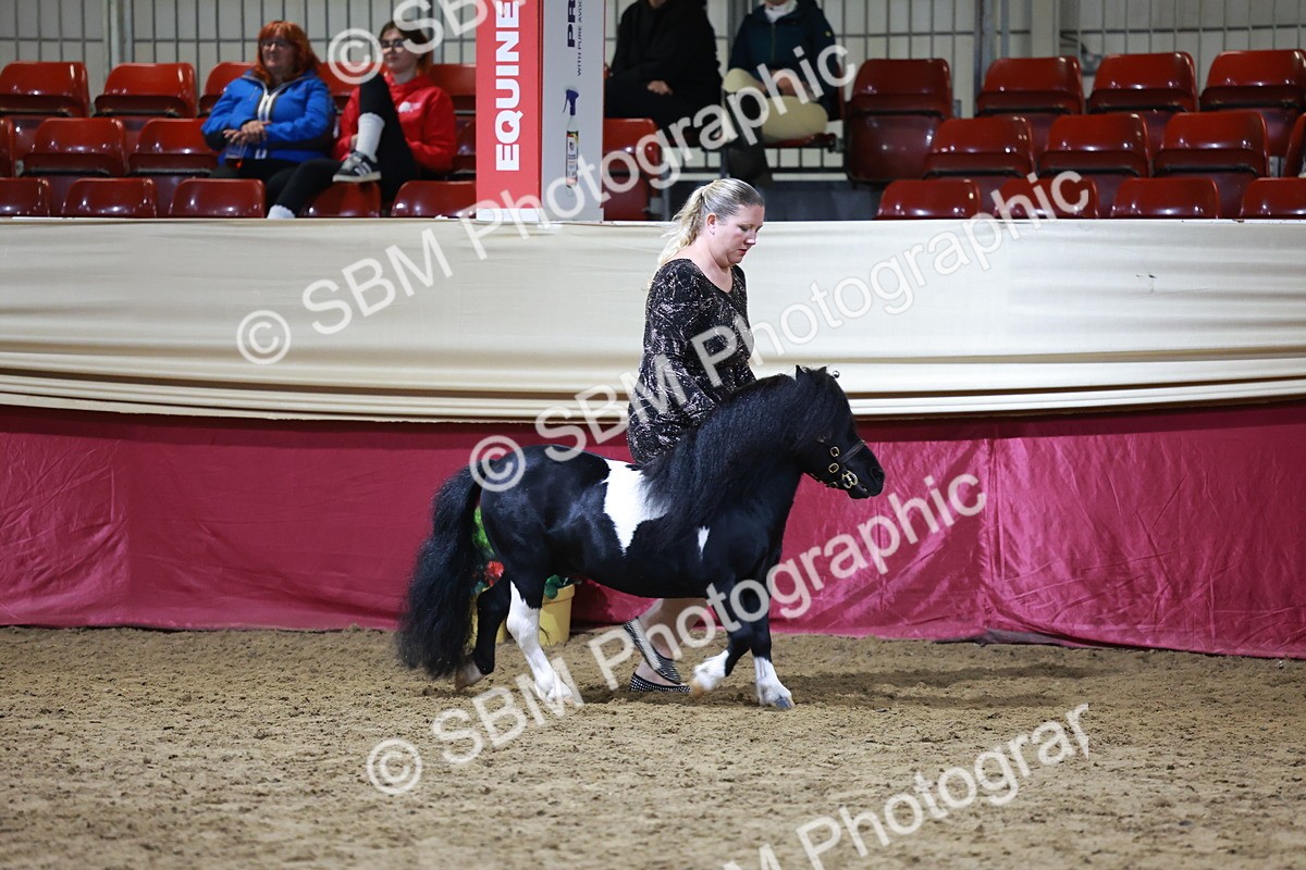 SBM_21516 - Class V - Champion of Champions