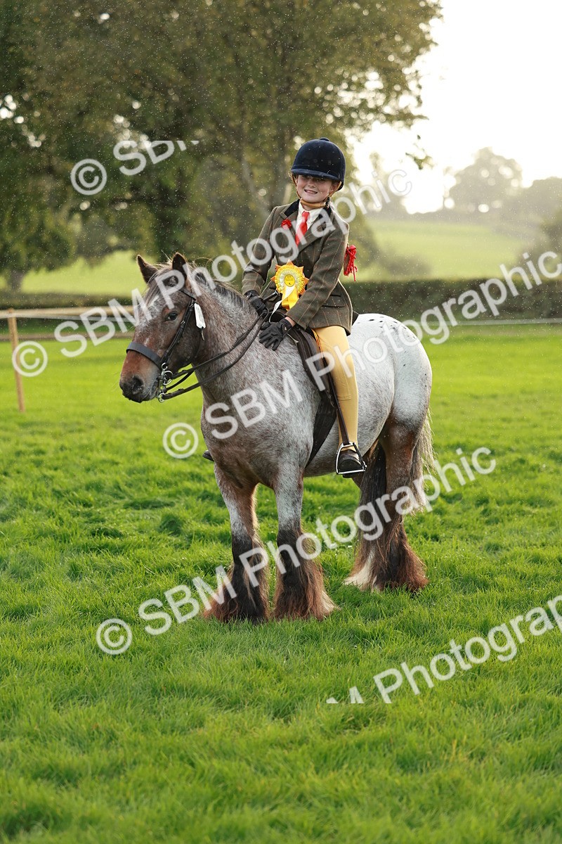 SBM_28917 - S7 - Novice & Newcomer Ridden Pony