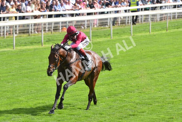 yr18082021r4-90 - Race 4 3.35pm Juddmonte International Stakes (British Champion Series race)