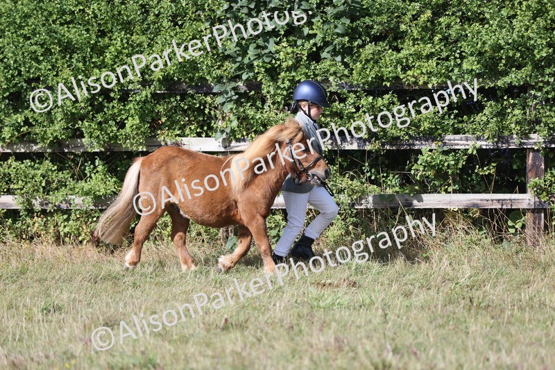 20250831-1608 - Previous show - Lambourn 2025
