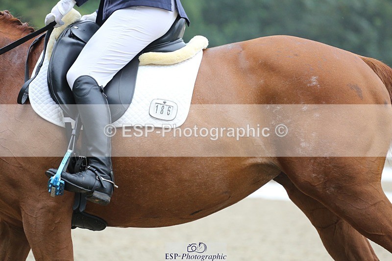 240720-130038-05197 - 186-Dani_Wills-Greathill_Sahara