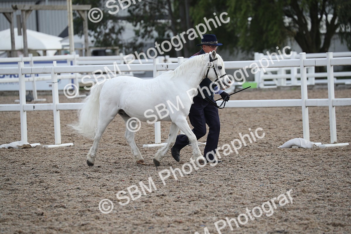 SBM_23111 - Class 605 - 2025 Area - IH Veteran