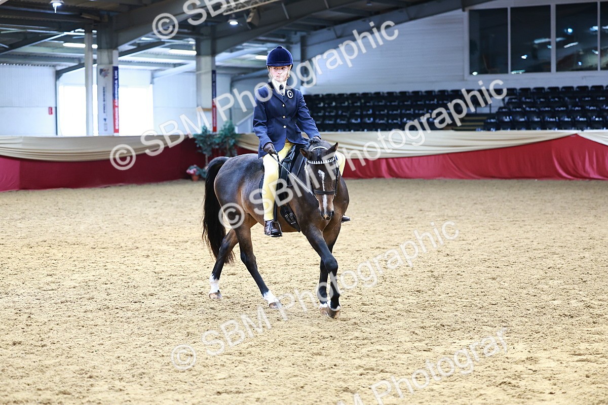 SBM_23833 - Class 905 - Supreme Final - Ridden Veteran