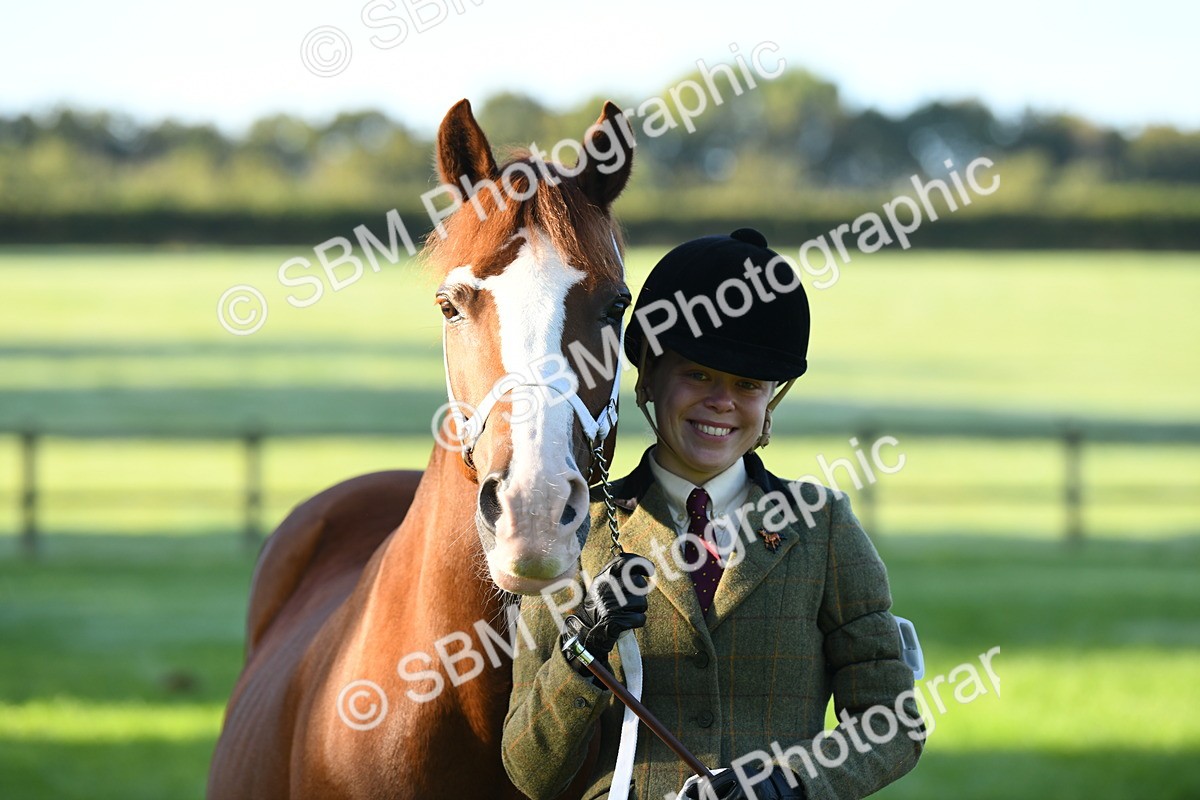 SBM_32812 - S15 - Condition & Turnout In Hand