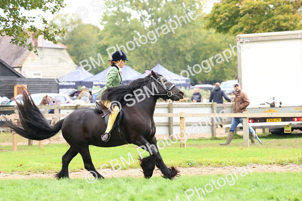 SBM_69654 - S62 - Mountain & Moorland Ridden Large Breeds