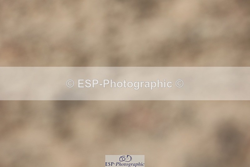 250620-145443-04576 - BD Cls 19 - FEI Inter I