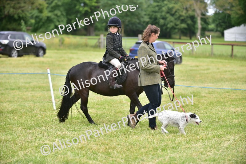 20260614-4515 - Class 19 - Cutest Pony, Rider and Dog Combination