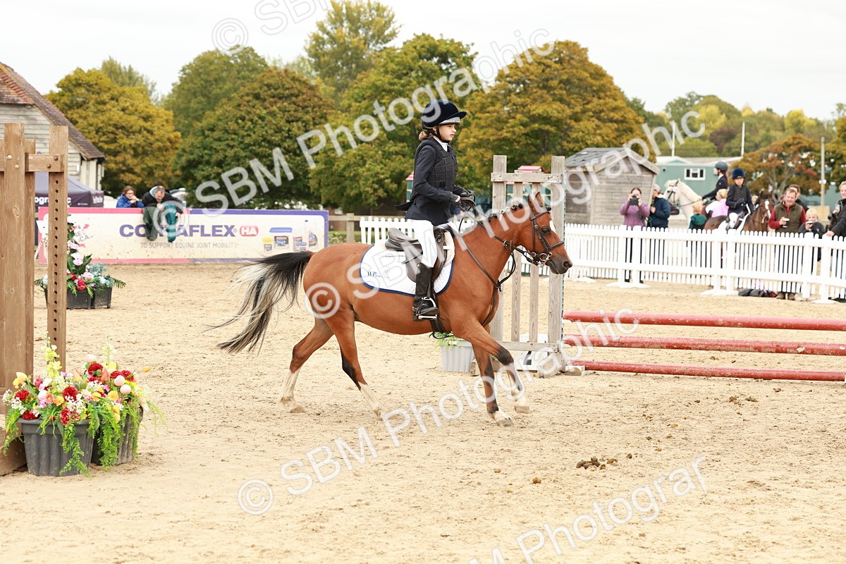 SBM_63603 - J12 - Junior Pony 55cm Championship