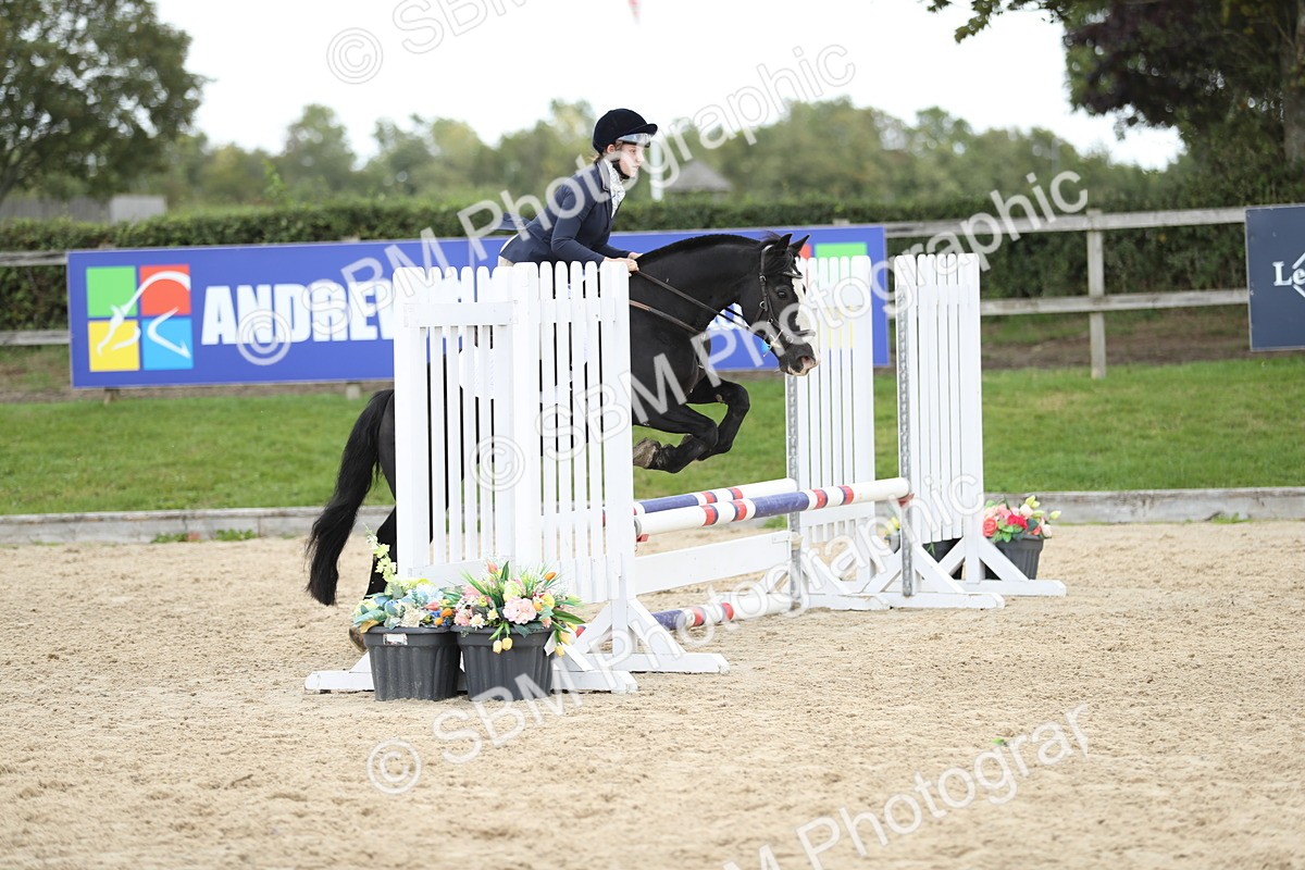 SBM_06500 - J29 - Senior Horse & Pony 65cm Championship