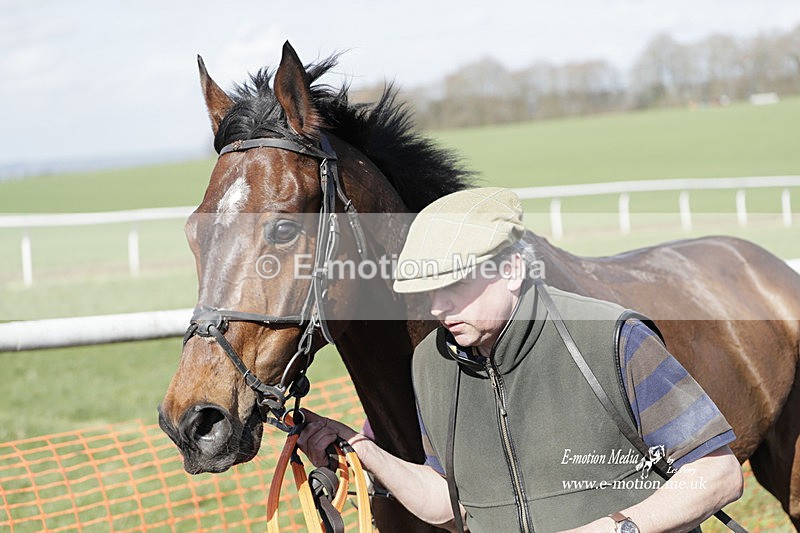 PtP 100423 938 - Old Berkshire Point-to-Point Lockinge 10/04/23