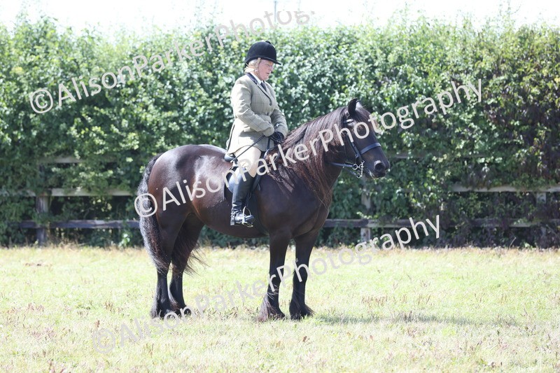 20250831-2965 - Class 19 - Mountain and Moorland