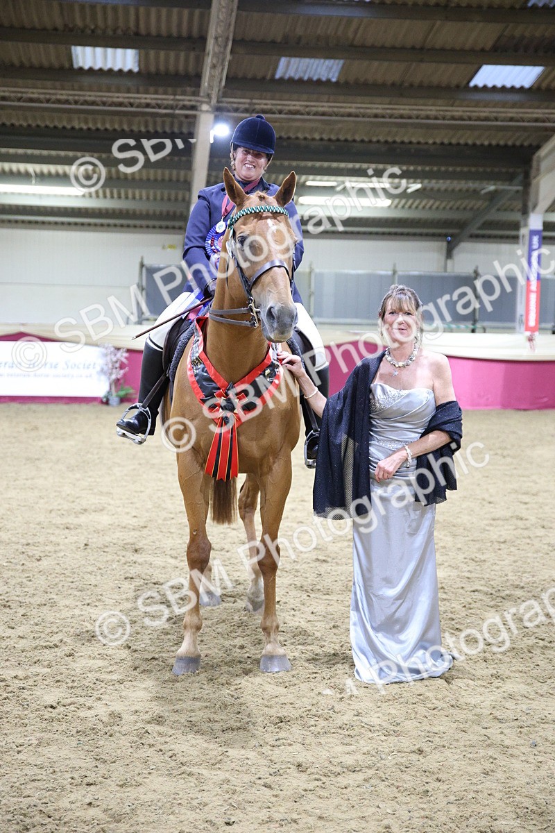5K7A1515 - Class 108Ridden Retired Racehorse- Final Judging