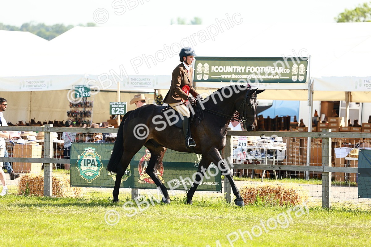 SBM_11884 - Class 66-69 - RIHS Ridden Hunters Inc Small Hunter