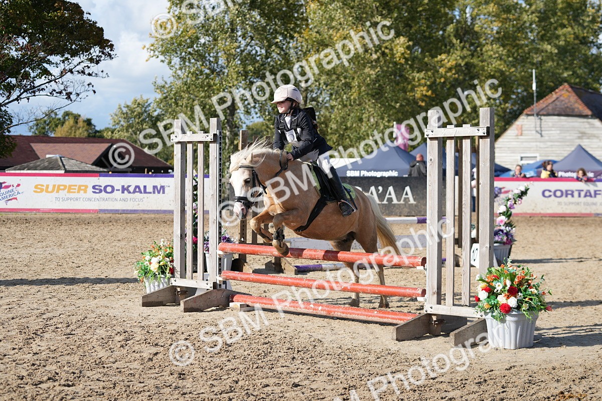 SBM_49282 - J8 - Junior Pony 65cm Championship