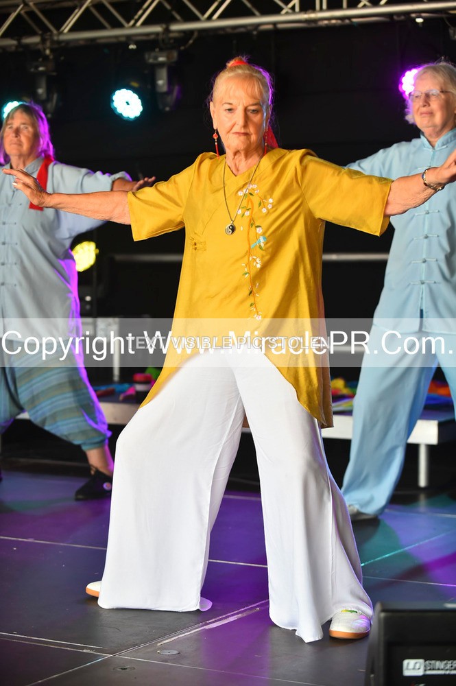 SH4_1358 - Tai Chi with Lisa Kay.