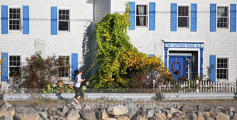 A Scenic Jog - Sport & Recreation