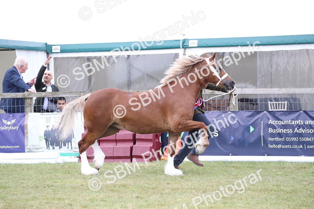 SBM_09761 - Ch 50 - Price Family Supreme In Hand