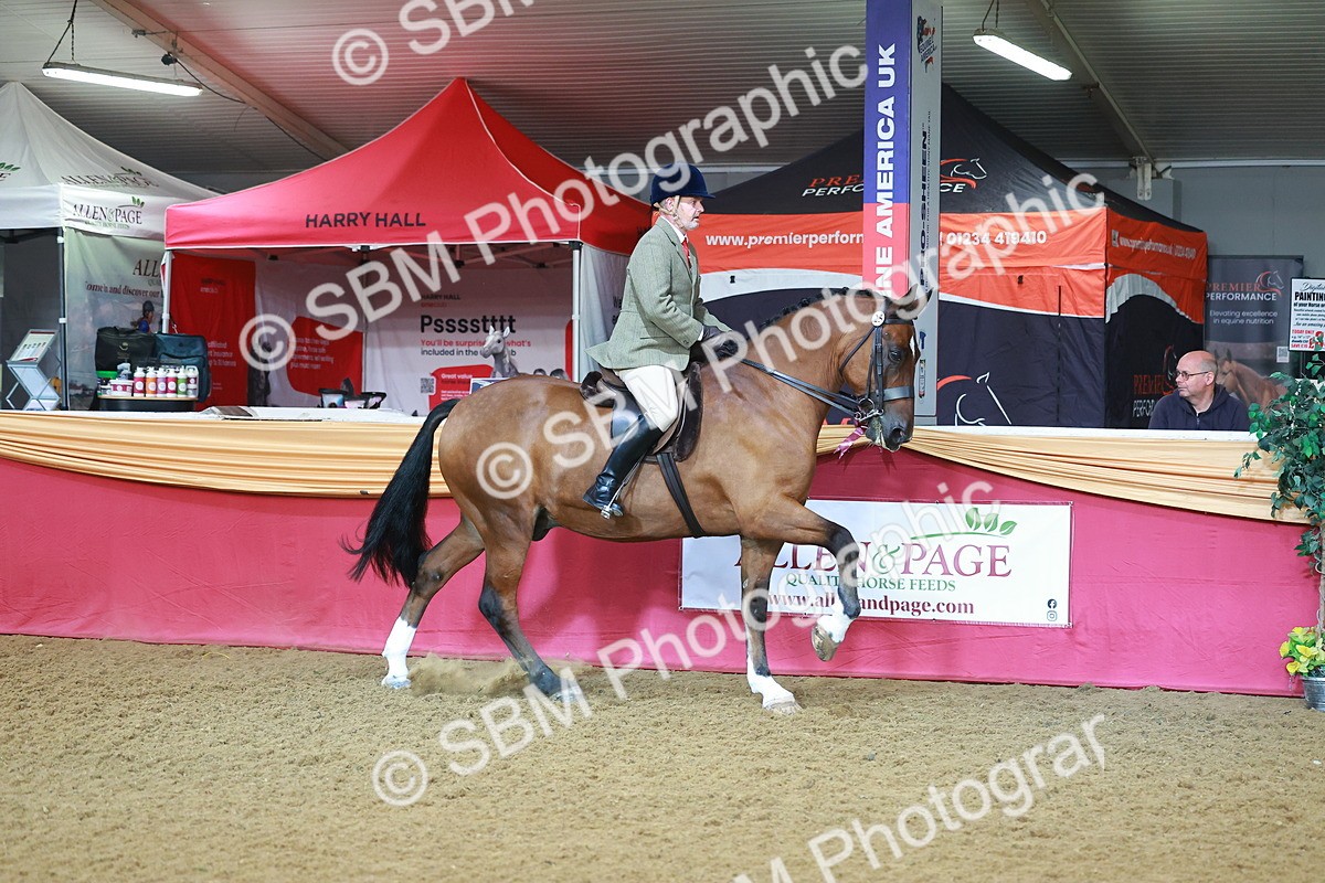 SBM_07623 - Class 101 - HOYS Veteran Qualifier - Ridden Diamond