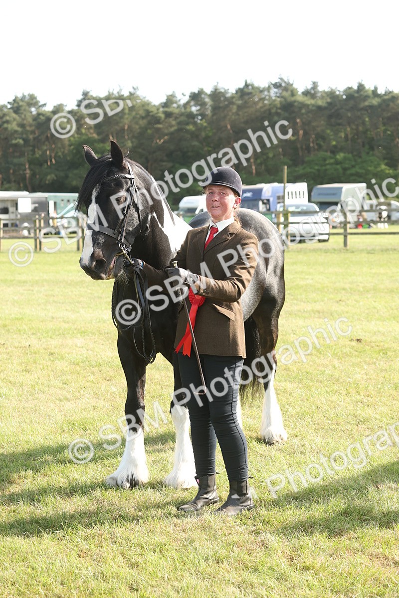 SBM_10386 - Class 33-38 - SSADL RIHS Qualifiers