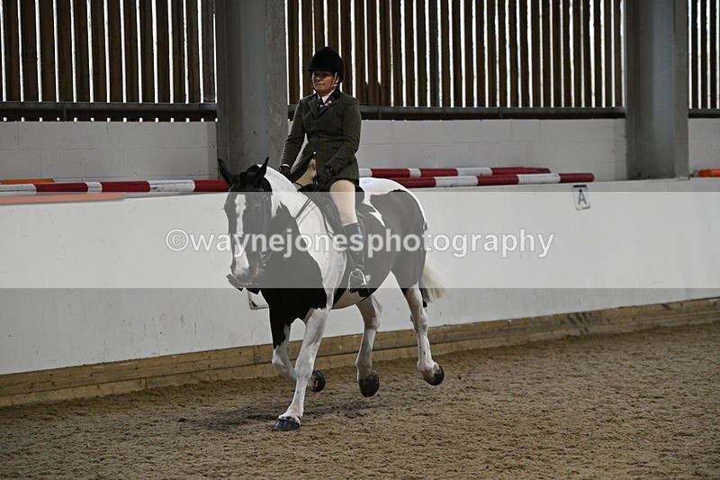 WJ7_4075 - Class 17 Ridden Cob