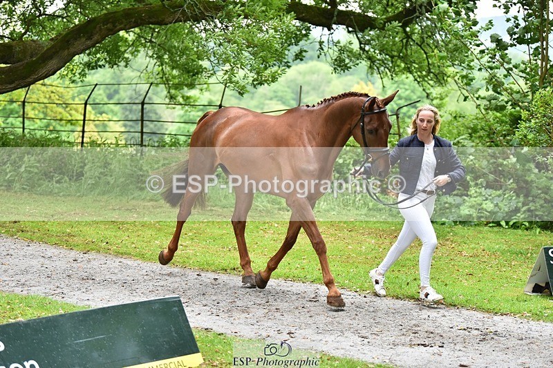 240522-163218-00987 - 210-RULE_BRITANNIA-Greta_Mason