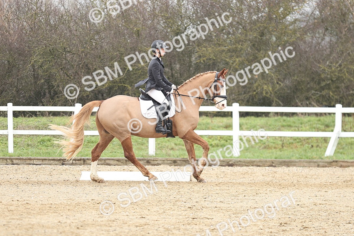 SBM_004249 - Novice 1