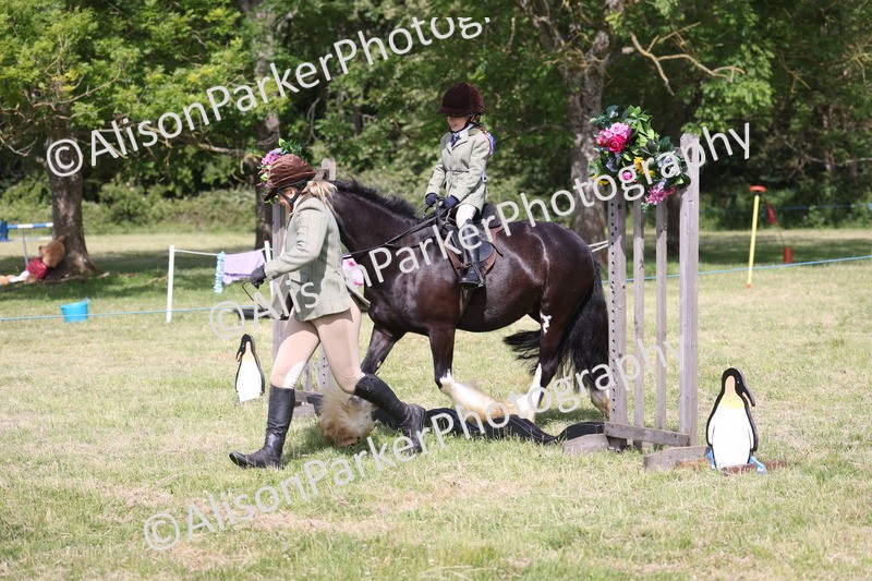 20260614-0628 - Class 20 - Beginners Working Hunter Pony