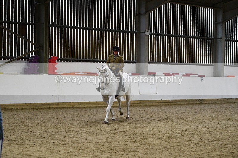 WJ5_9049 - Class 15 Ridden Show Horse