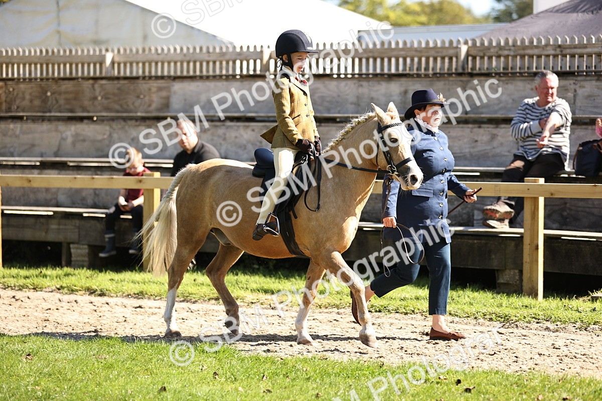 SBM_19234 - S3 - TSR Ridden Pony Showing