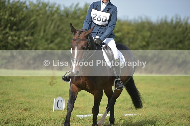 RAY_7793 - Class 2B: Trekenning Open: Dressage