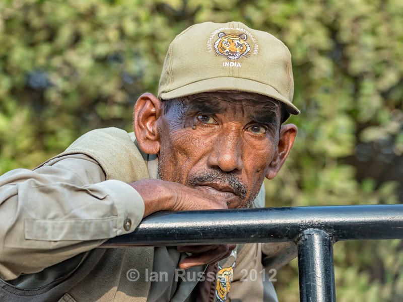  - Indian Safari 2017