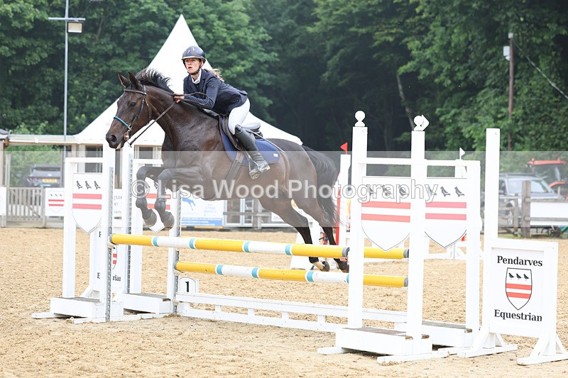 3E7A5611 - Class 4: Senior British Novice/90cm open